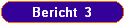 Bericht  3
